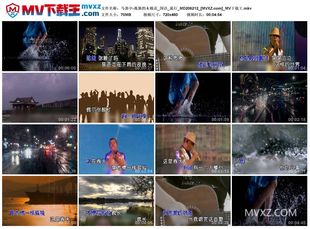 马惠中-孤独的木棉花_国语_流行_MD206212